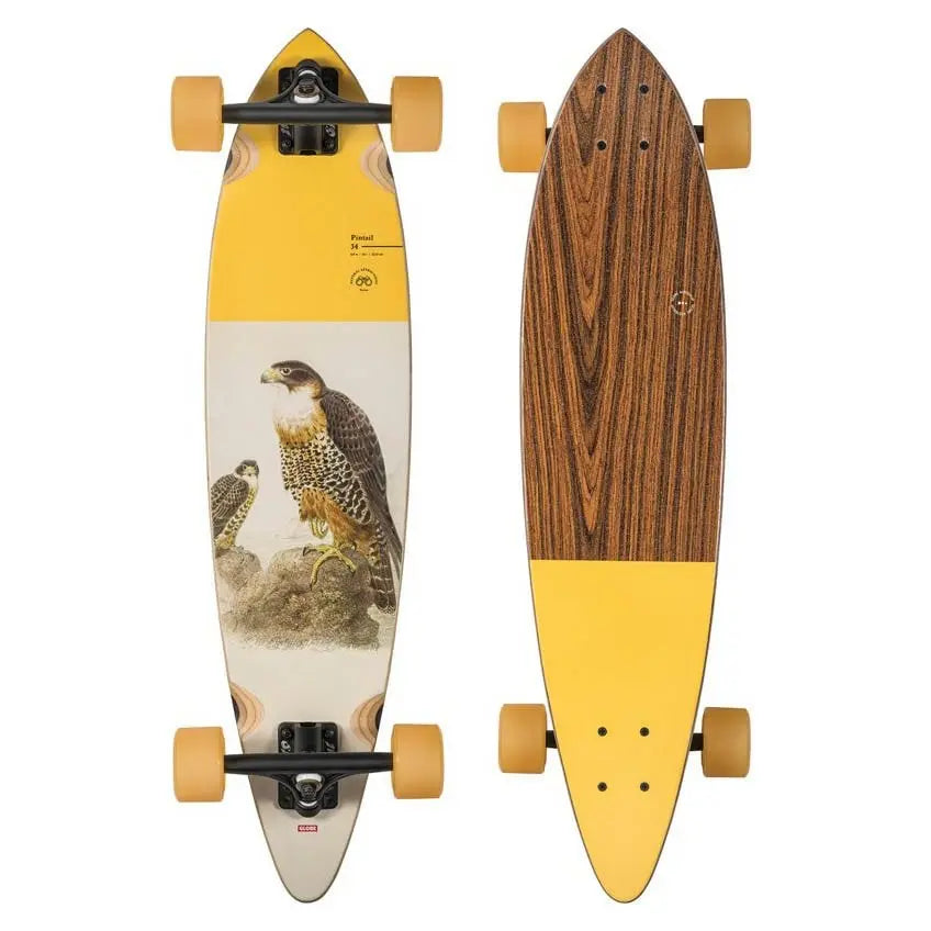 Globe Pintail 34in Cruisers GLOBE