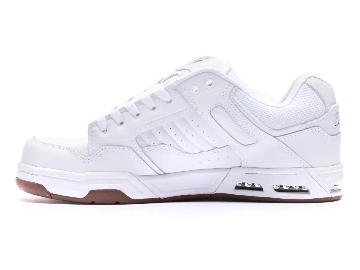 DVS Enduro Heir Shoes DVS