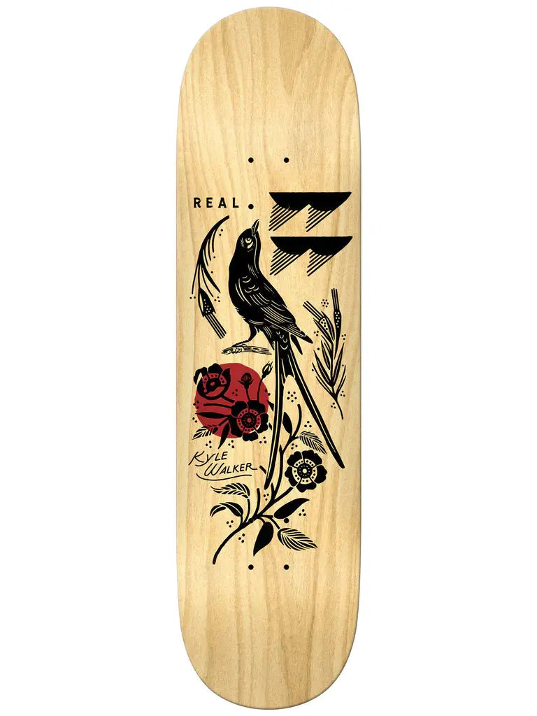 Real Kyle Mudgett 8.25 Deck REAL