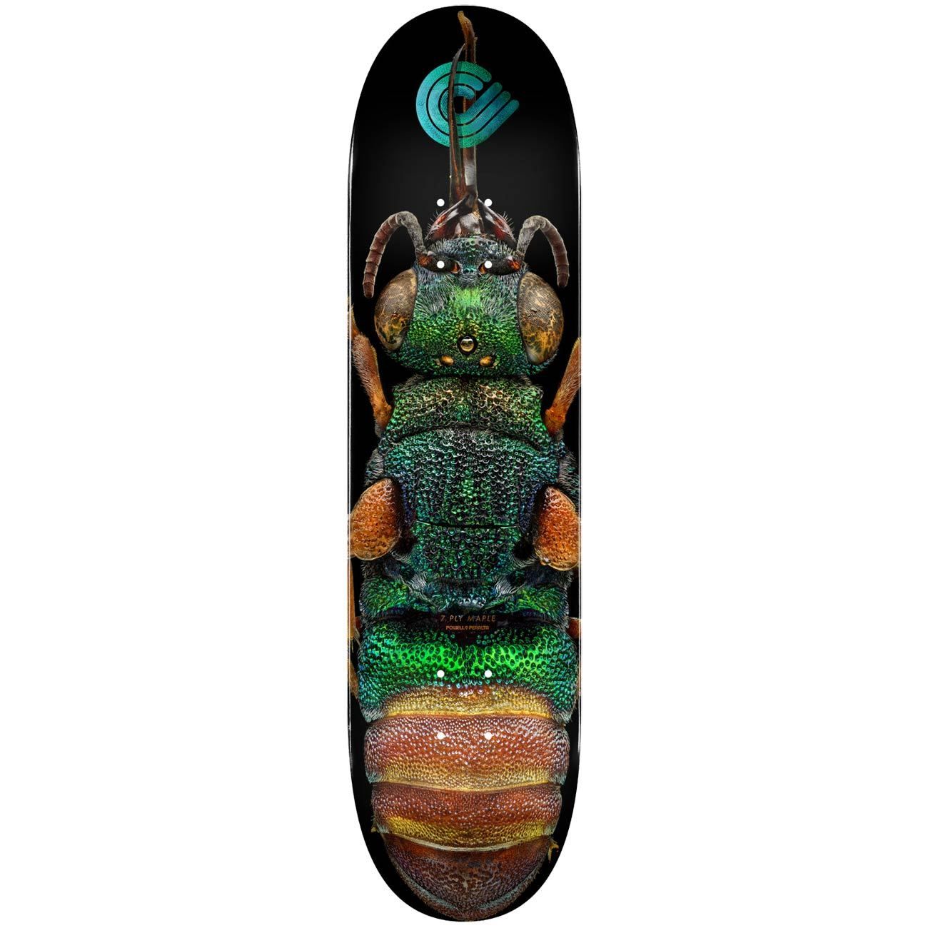 [SP21-PP-DECK-011-8.5] POWELL PERALTA RUBY TAILED WASP 8.5 DECK POWELL